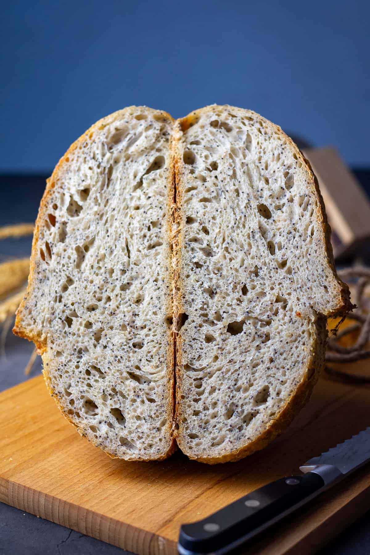 Lemon Poppy Seed sourdough bread cut in half.