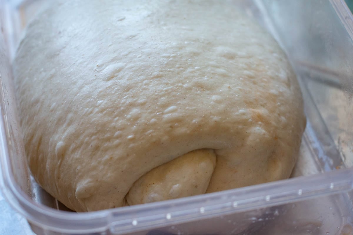 Coil folded sourdough focaccia dough in a large plastic container.