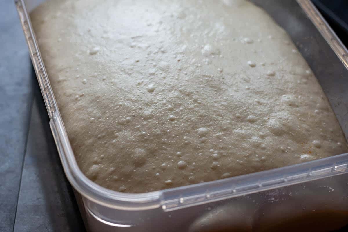 Sourdough at the end of bulk fermentation.