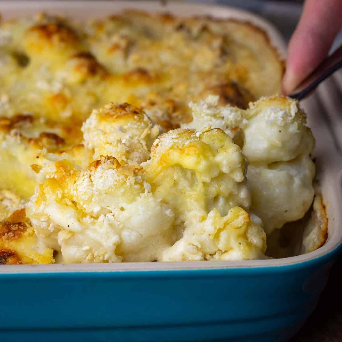 A spoonful of sourdough cauliflower cheese being taken out of a baking dish.