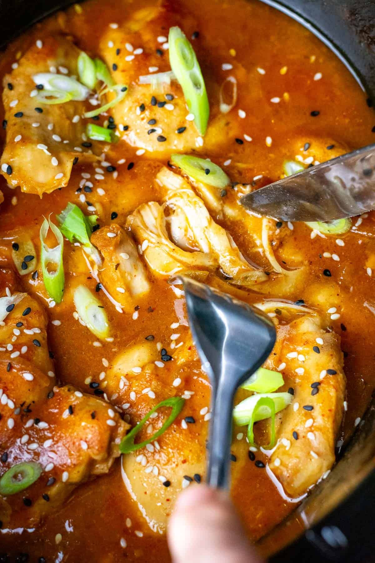 Shredding a piece of slow cooker apricot chicken with two forks.