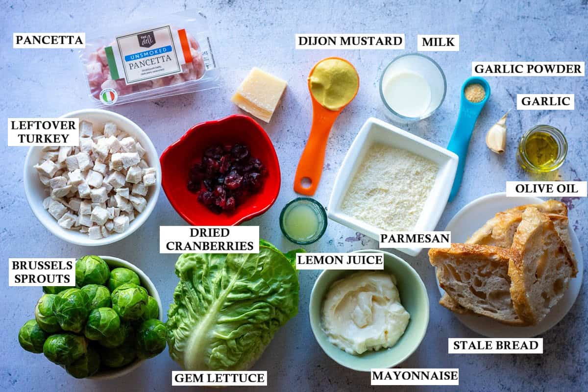 Labelled ingredients for Christmas Caesar Salad on a light grey surface.