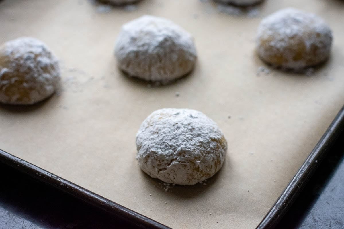 Balls of sourdough lemon crinkle cookie dough rolled in powdered sugar and arranged on a baking sheet.