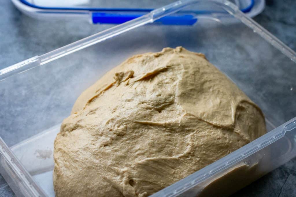 Marmite sourdough right after mixing in a bulk fermentation container.