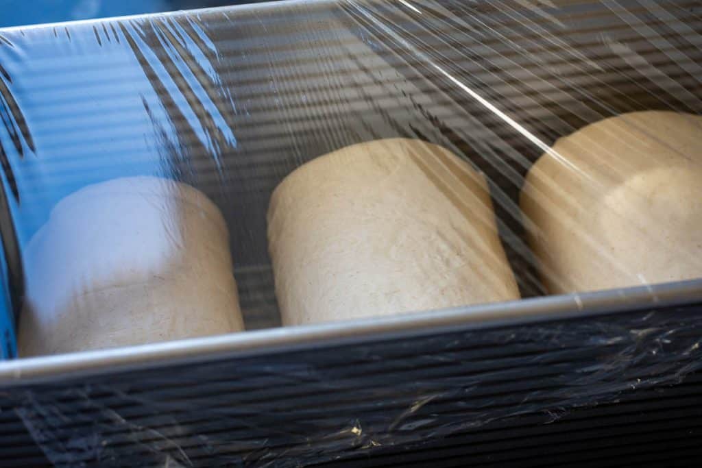 Three rolls of evaporated milk sourdough arranged in a loaf pan coverd with plastic wrap.