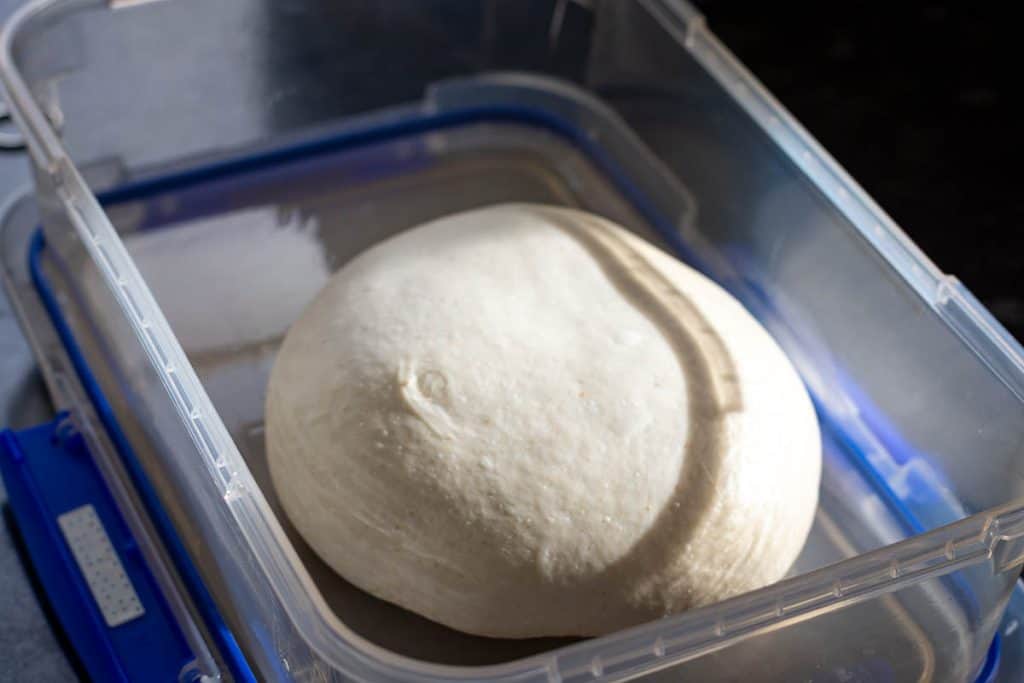 A ball of sourdough in a bulk fermentation container.