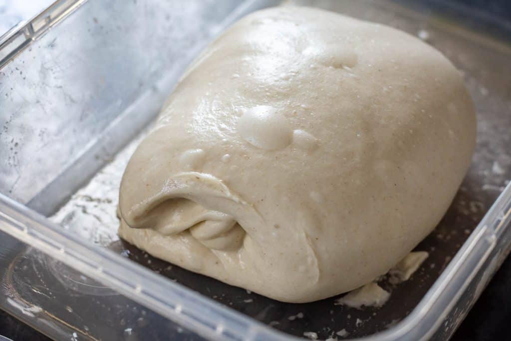 Sourdough in a plastic container after a coil fold.