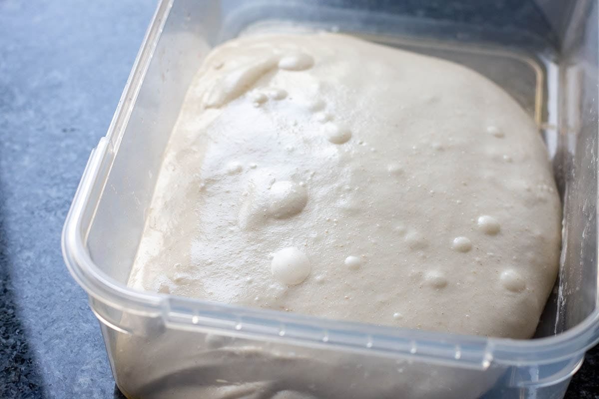 Blisters forming on the surface of sourdough during bulk fermentation.