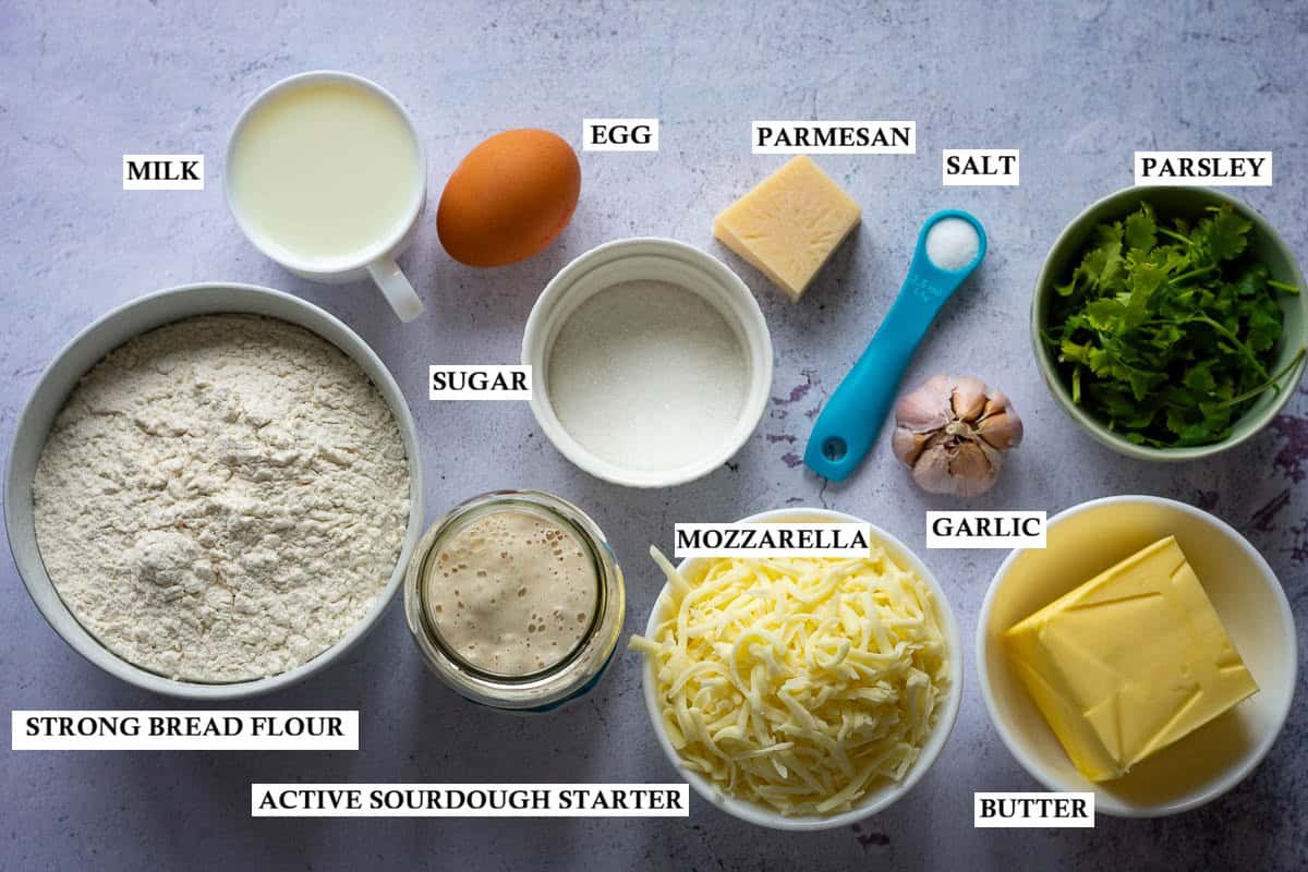 Labelled ingredients for sourdough cheese rolls with garlic on a light grey surface.