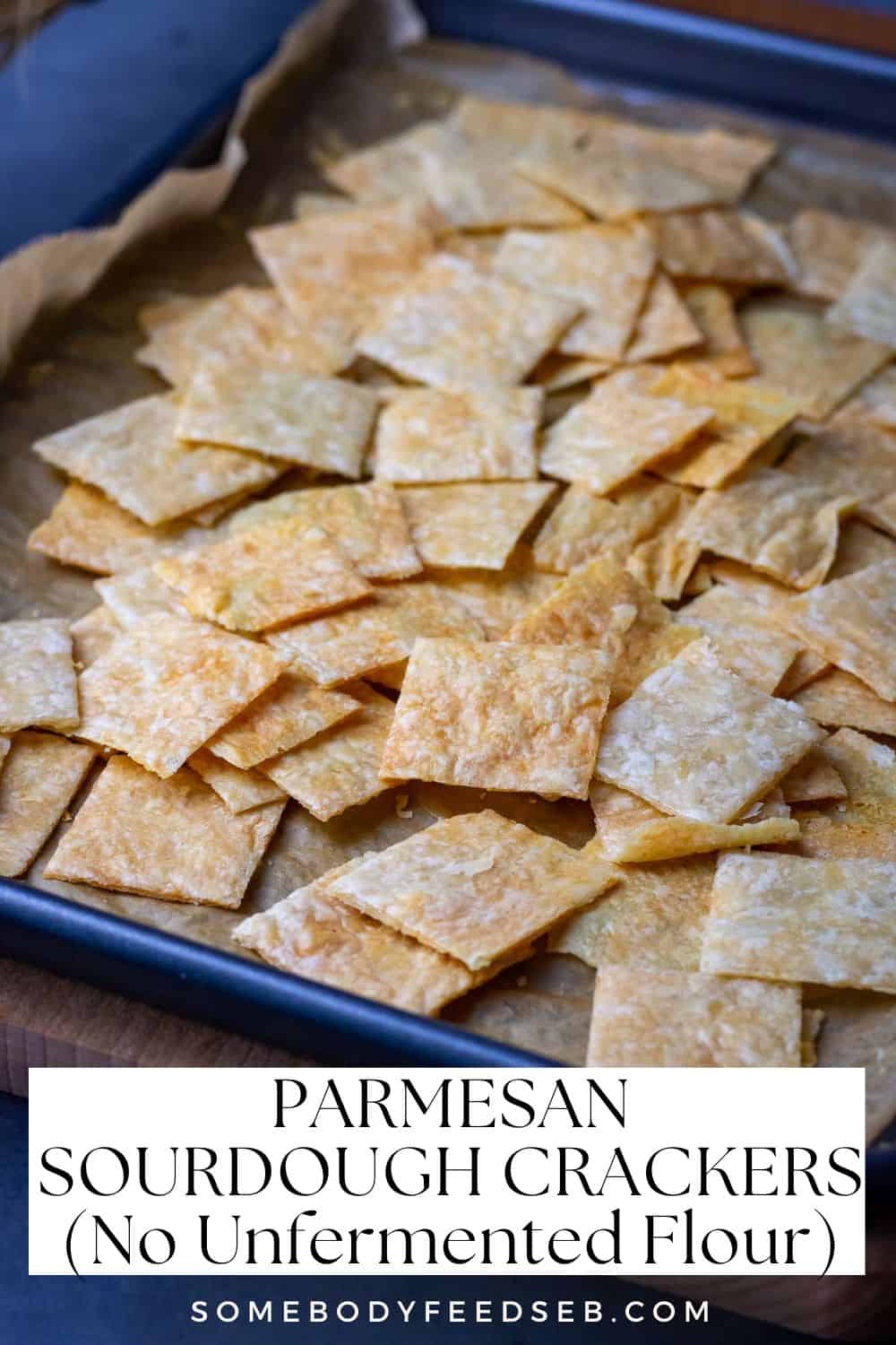 Sourdough Parmesan Crackers with no undermented flour on a baking sheet. Pin for Pinterest.