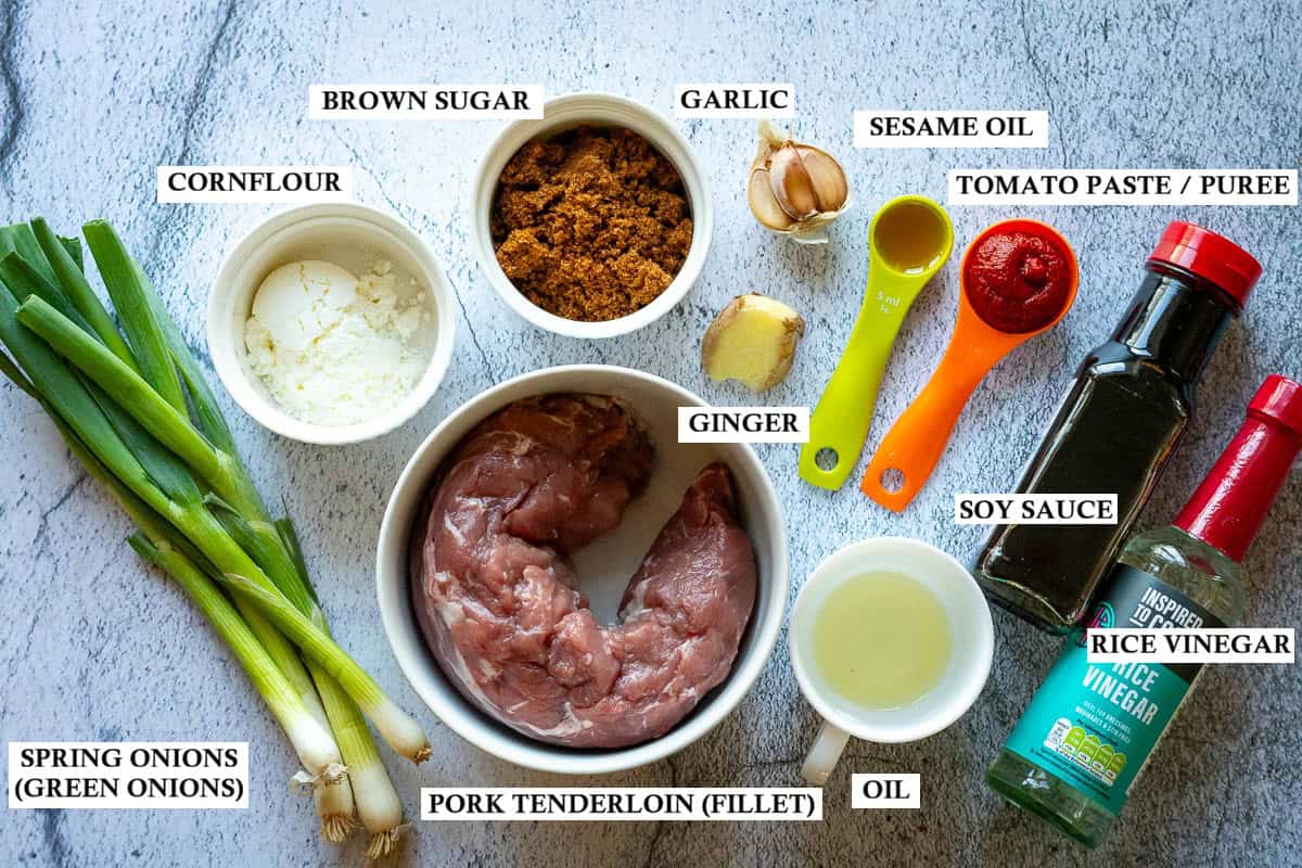 Ingredients for Slow Cooker Mongolian Pork on a grey surface.