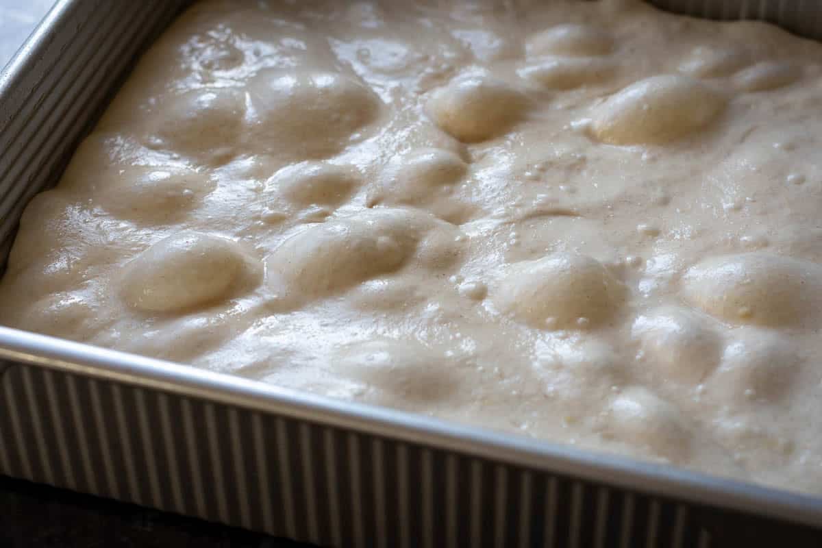 Sourdough focaccia with visible blisters on top after second rise in a square baking tray.