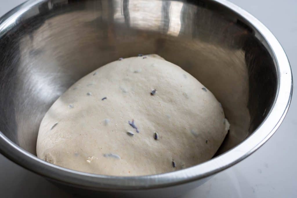 Lavender Sourdough in a large metal bowl at the beginning of bulk fermentation.