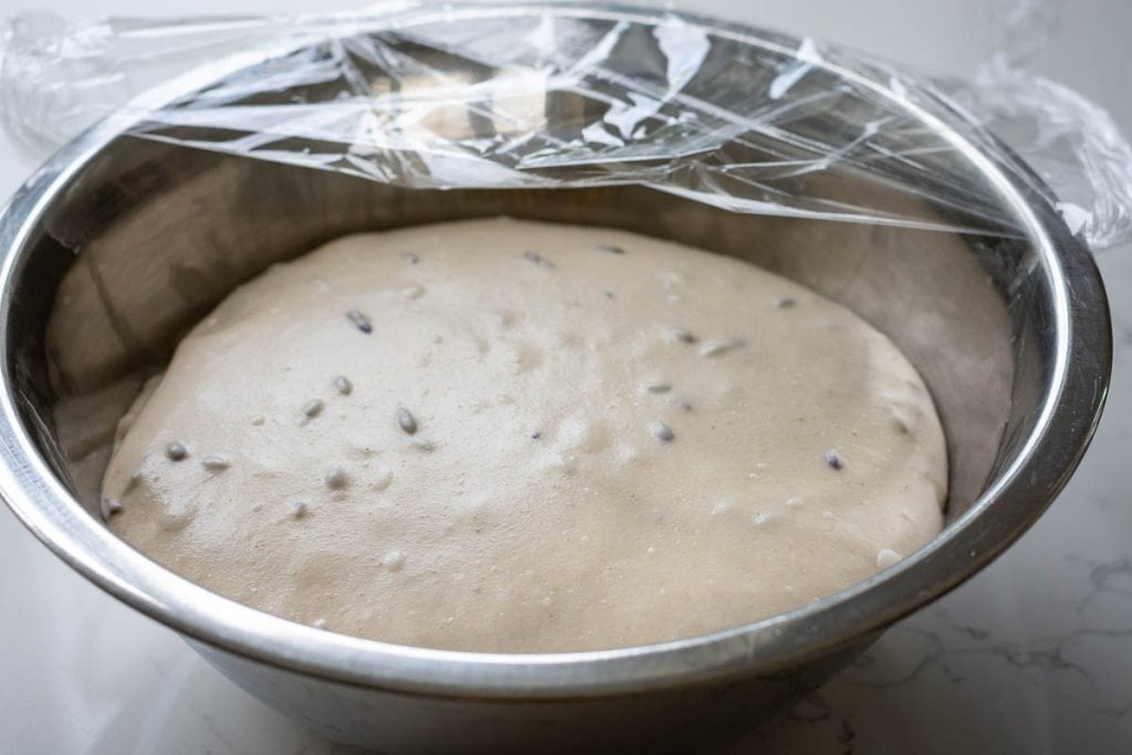 Lavender Sourdough in a large metal bowl at the end of bulk fermentation.