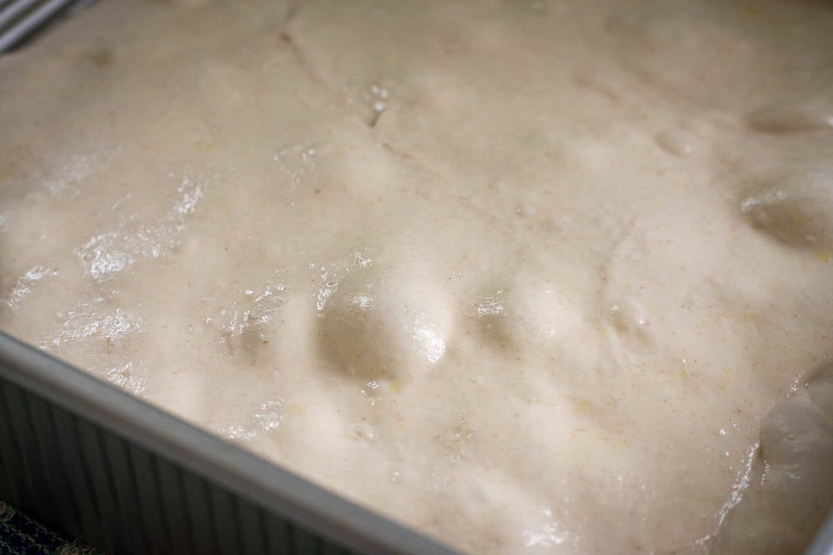 Blisters forming on the surface of focaccia dough during second proof in the baking tray.