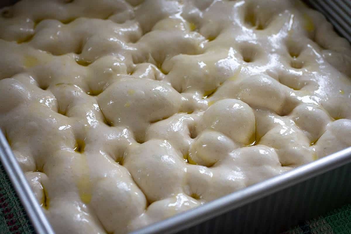 Dimpled sourdough focaccia in a square baking pan.