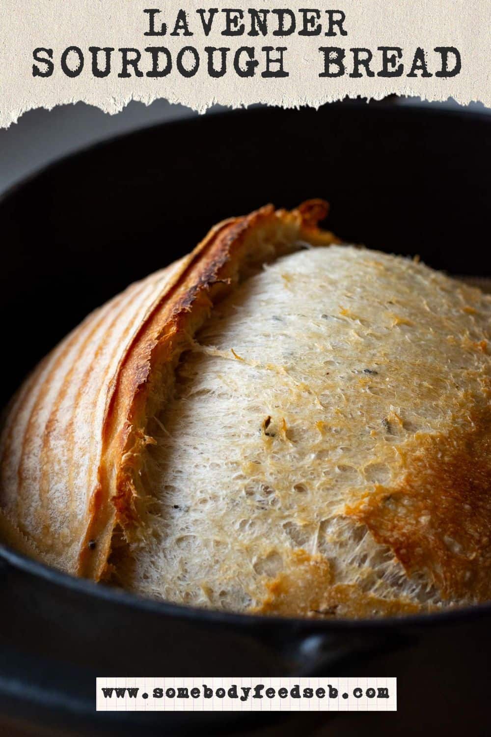 Honey and Lavender Sourdough Bread with a prominent sourdough ear in a cast iron Dutch oven. Pin for Pinterest.