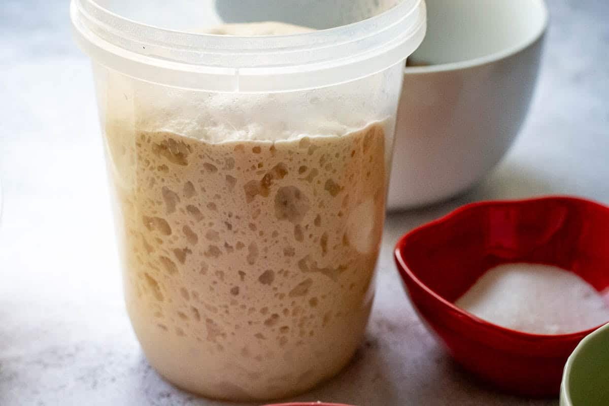 Low hydration sourdough starter with lots of large bubbles trapped in it.