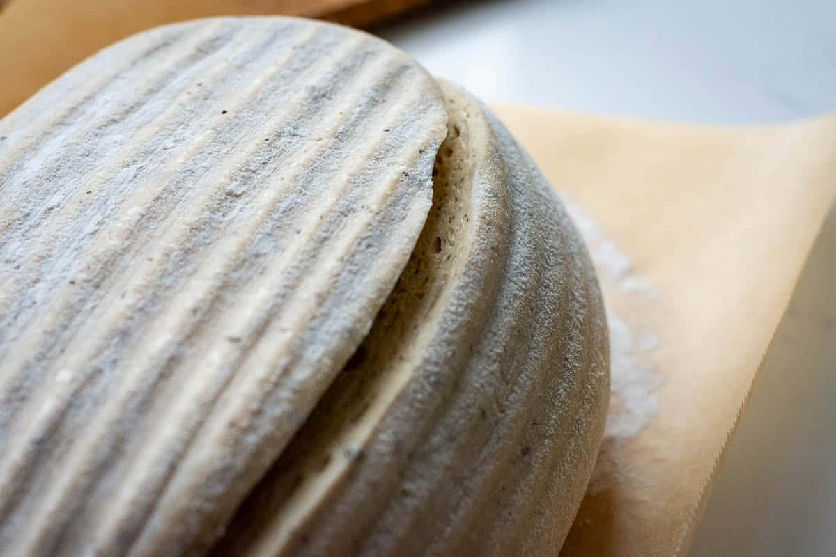 Scored Earl Grey Sourdough Battard on a piece of parchment paper.