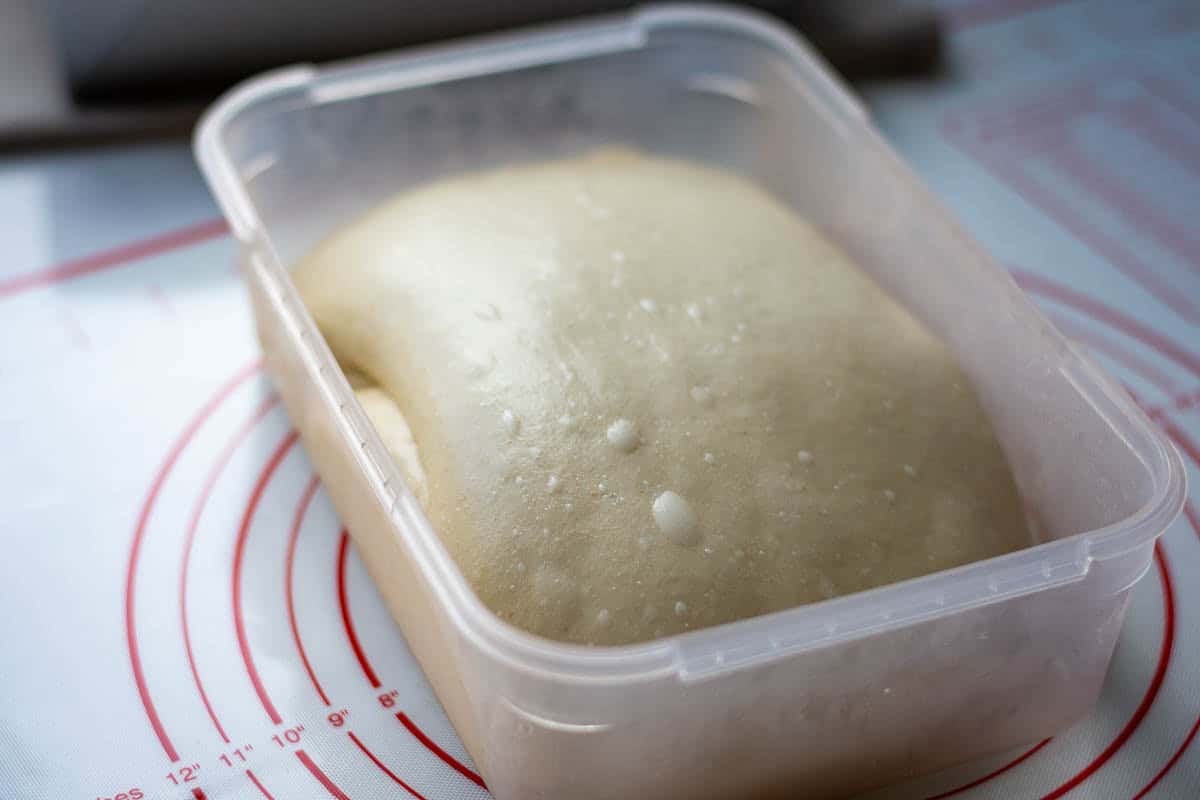 Bulk fermented sourdough in a plastic tupperware box.