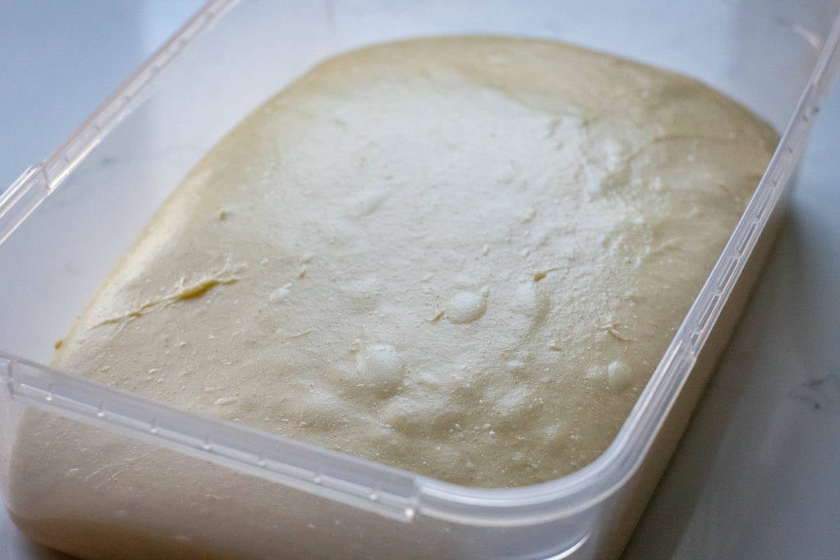 Sourdough for sticky buns in a clear container at the end of bulk fermentation.