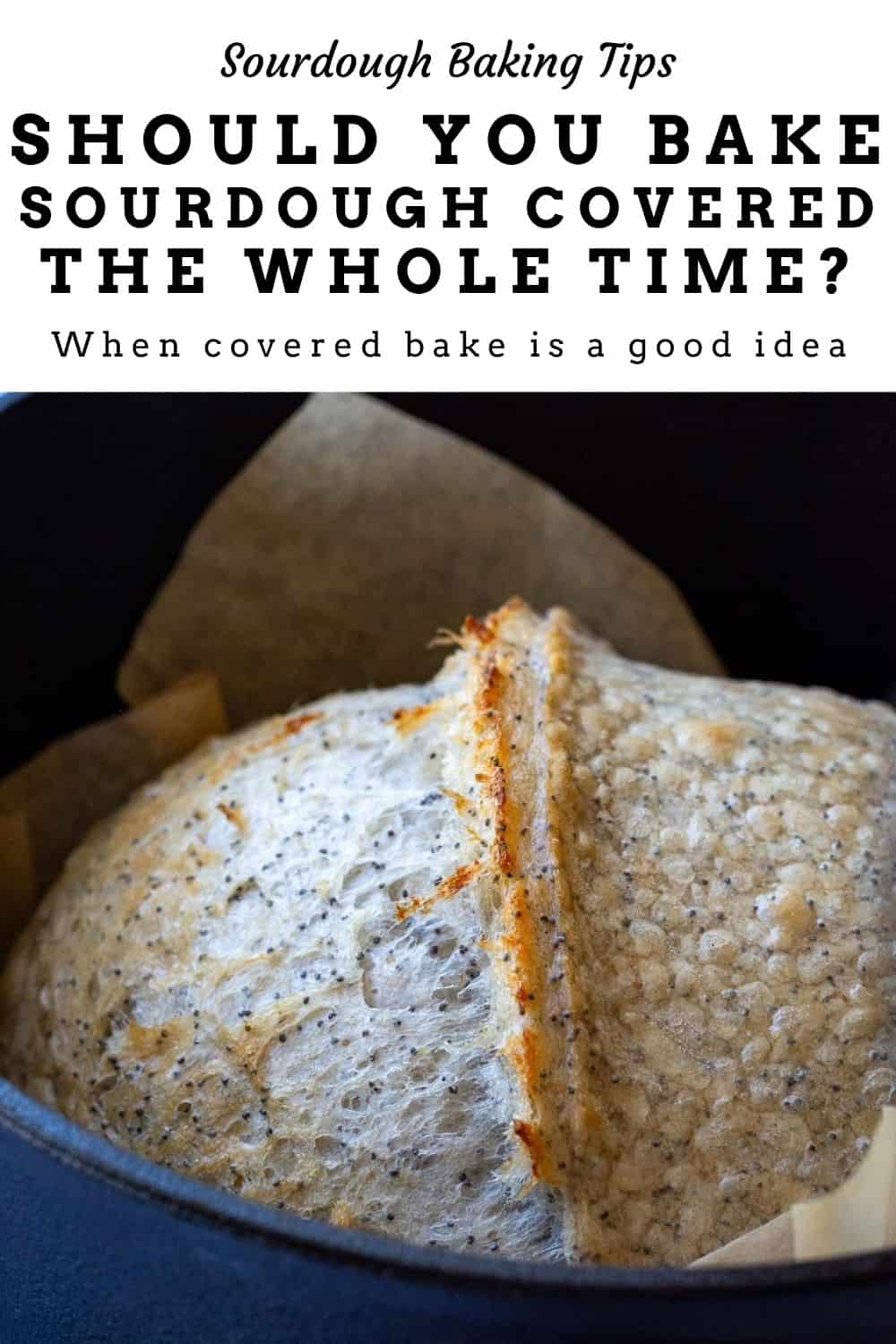 Pale Sourdough Bread in a Dutch oven after lidded bake. Pin for Pinterest.