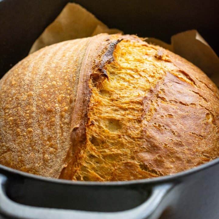 Pumpkin and spice infused sourdough bread baked in a Dutch oven with lid on for the whole bake.