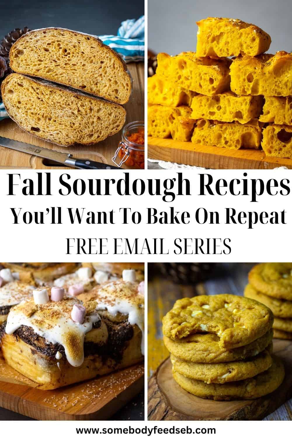 Fall Sourdough Recipes photo collage for Pinterest.