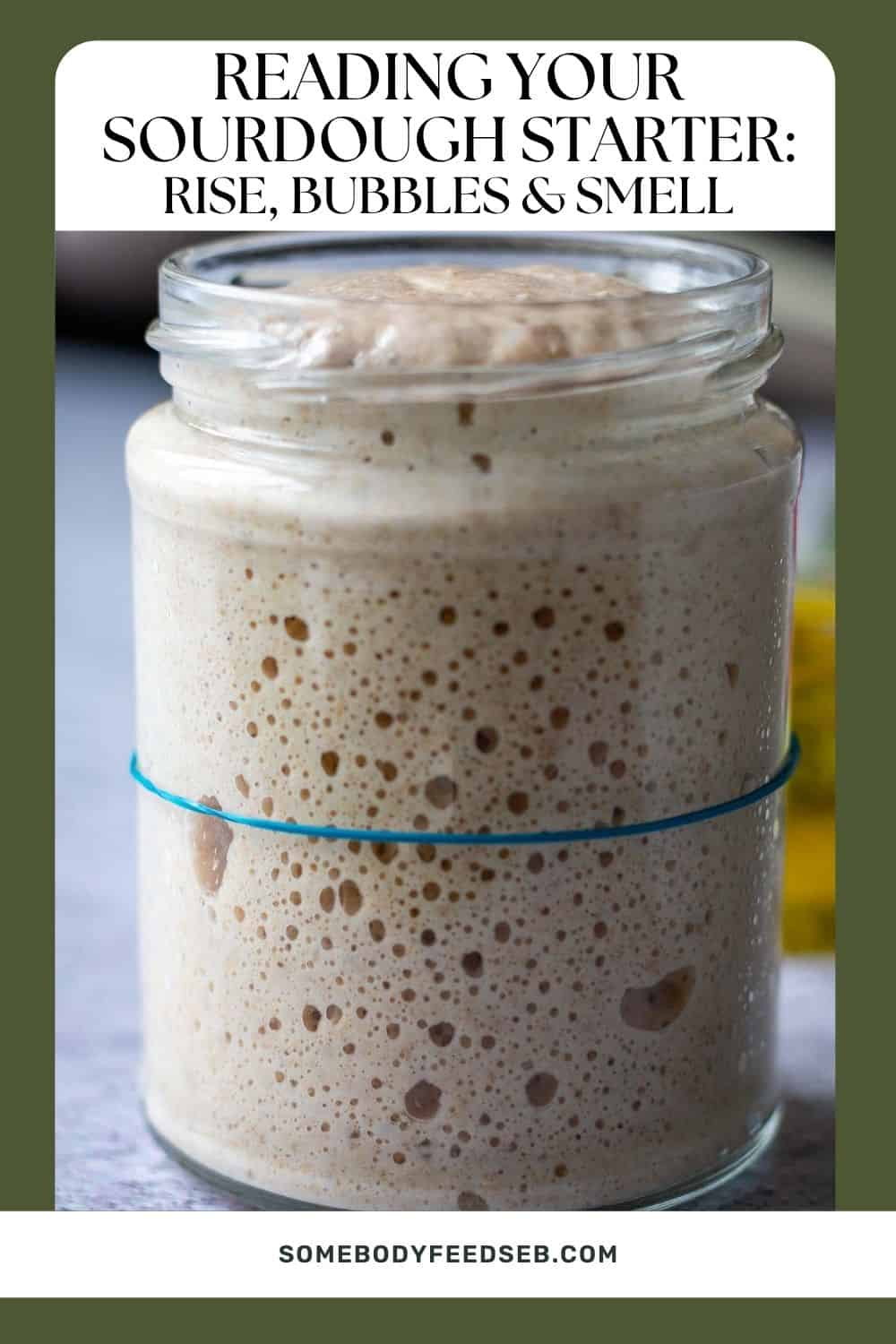 A glass jar with active sourdough starter with bubbles and significant rise. Pin for Pinterest.