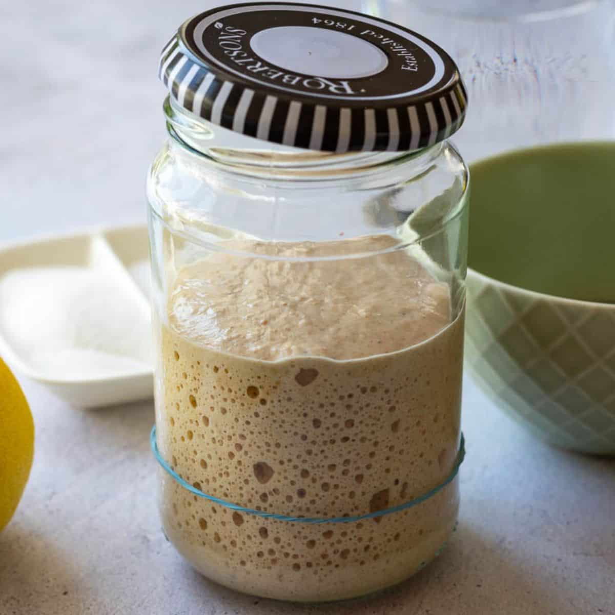 Active sourdough starter with large bubbles in a jat with a rubber band showing that it more than doubled in volume.