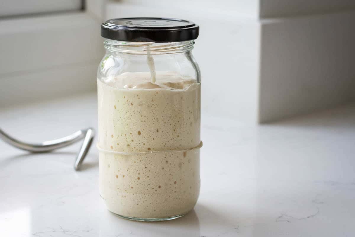 Doubled active sourdough starter jar with small bubbles.