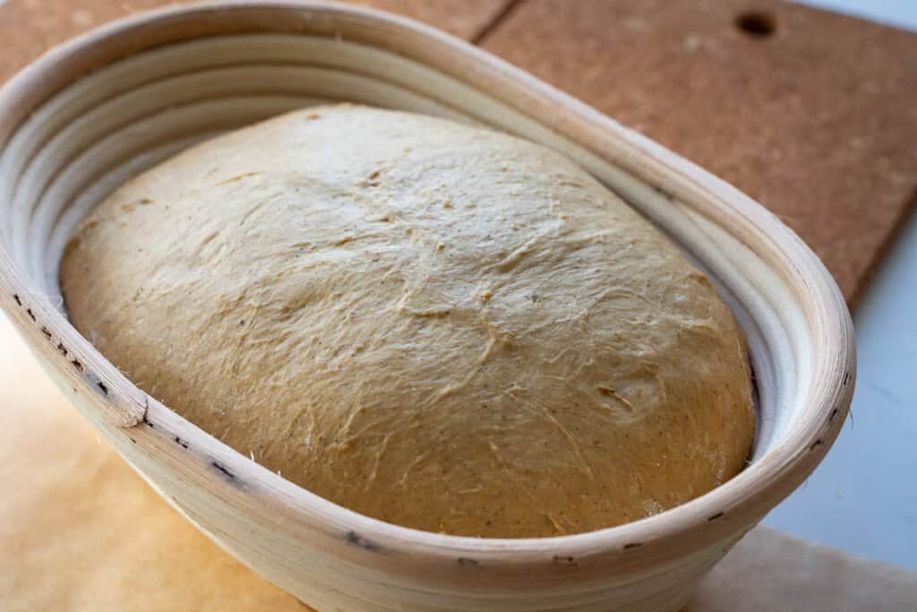 Pumpkin spiced sourdough in a floured banetton basket.