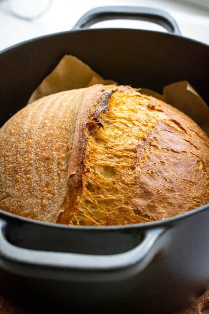 Baked golden brown pumpkin spiced sourdough bread in the Dutch oven.