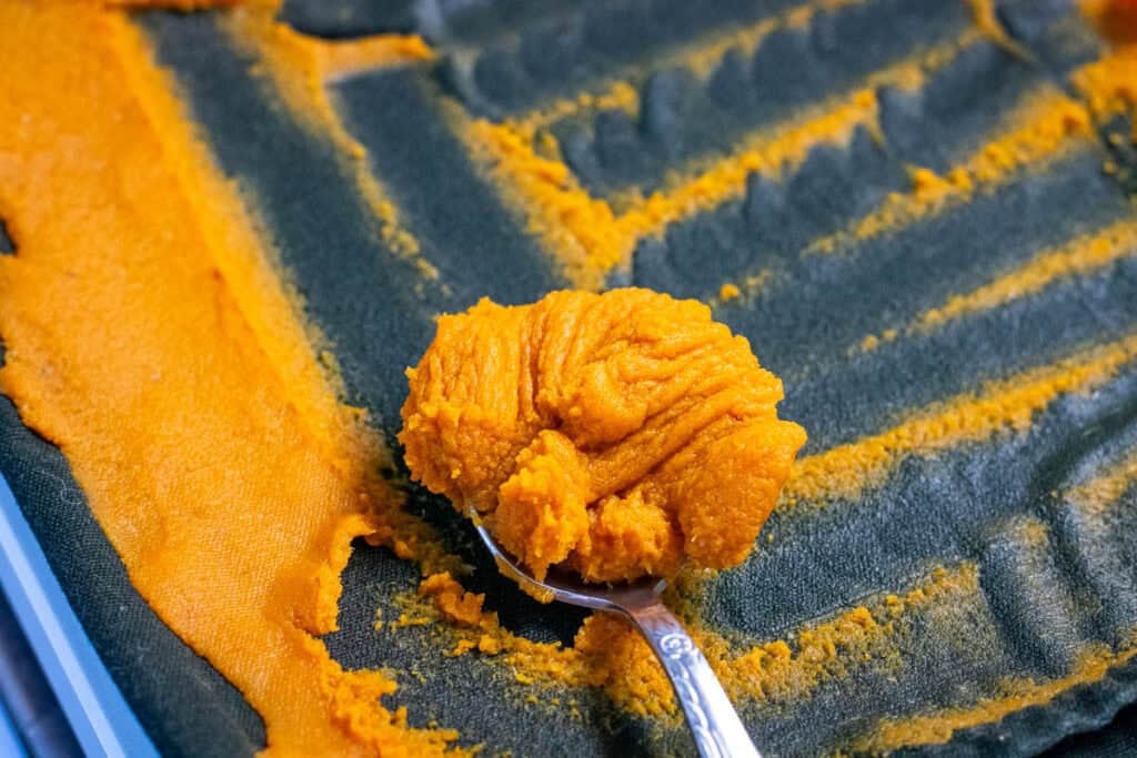 scraping the dried pumpkin puree off the cloth with a spoon.