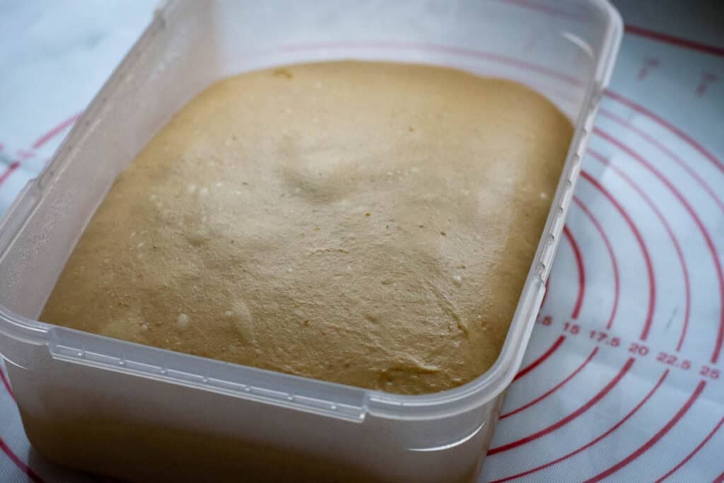 Pumpkin sourdough babka dough at the end of the bulk fermentation.